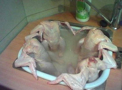 Enhanced Chickens Bathing in Hot Tub Enhanced Chickens Bathing in Hot Tub