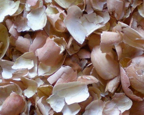 Peanut Skins Peanut Skins
