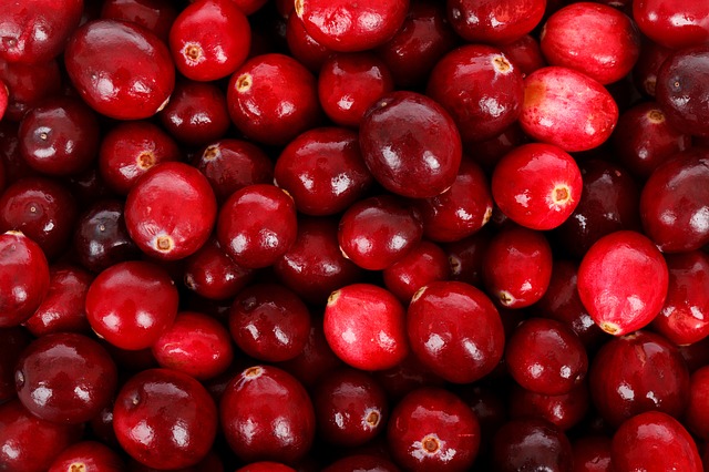 Fresh Cranberries Fresh Cranberries