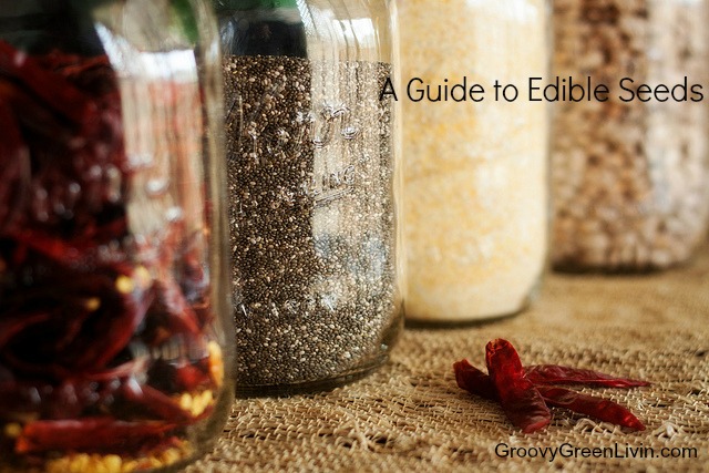 A Guide to Edible Seeds