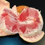 Return of the Killer Grapefruit ?