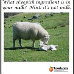 A Sheepish Ingredient in Milk