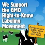 The Curious Timing of Ben & Jerry's No GMO Announcement