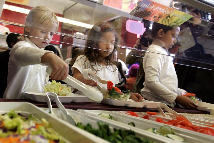 School salad bar School salad bar