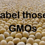GMO Labeling Momentum Grows