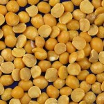Trend Alert - Pea Protein