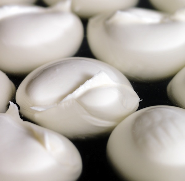 mozzarella cheese mozzarella cheese