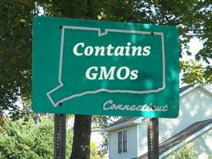 Connecticut GMOs