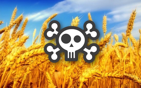 wheat is poison?